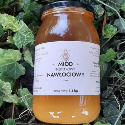 Miód nawłociowy